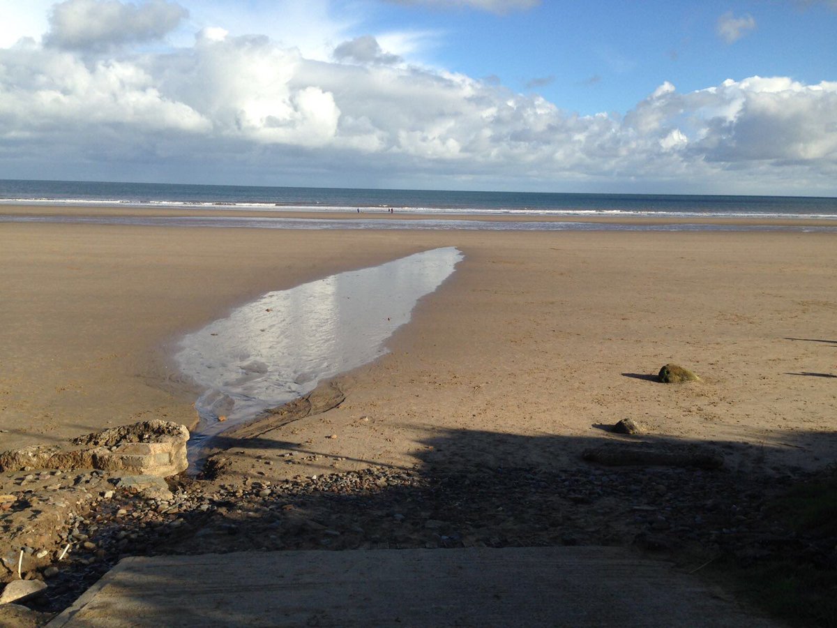 whittyfoxbeach tweet picture