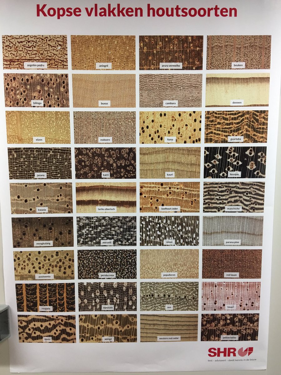 Het Gilde van Gediplomeerde Parketteurs organiseerde vanmiddag een workshop houtherkenning bij het SHR in Wageningen. Een leerzame middag
