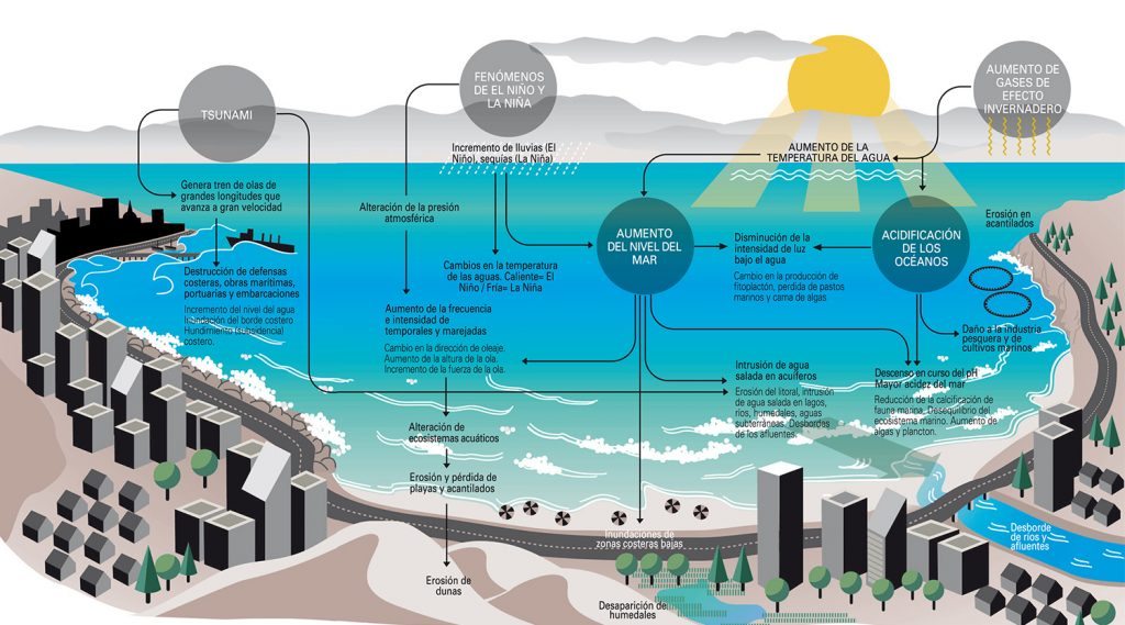 revista_enfoque's tweet photo. Ganadora en los #Mags2017 como Mejor Ilustración o Infografía Regional: "Los desafíos de las costas de Chile” de Marisa Polenta 🏆➡️ https://t.co/qSm6Y0tUOJ https://t.co/P2EQaPVQ7M