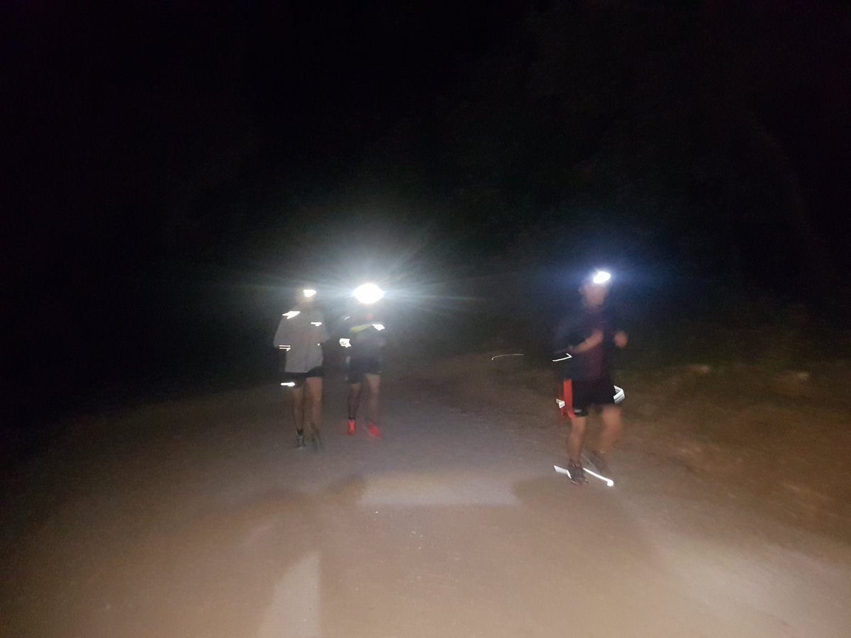 anton_guti's tweet photo. Correr por el bosque a 10° también ayuda a reflexionar. #TefLS @UniversitasTef https://t.co/EjdNN4p56m