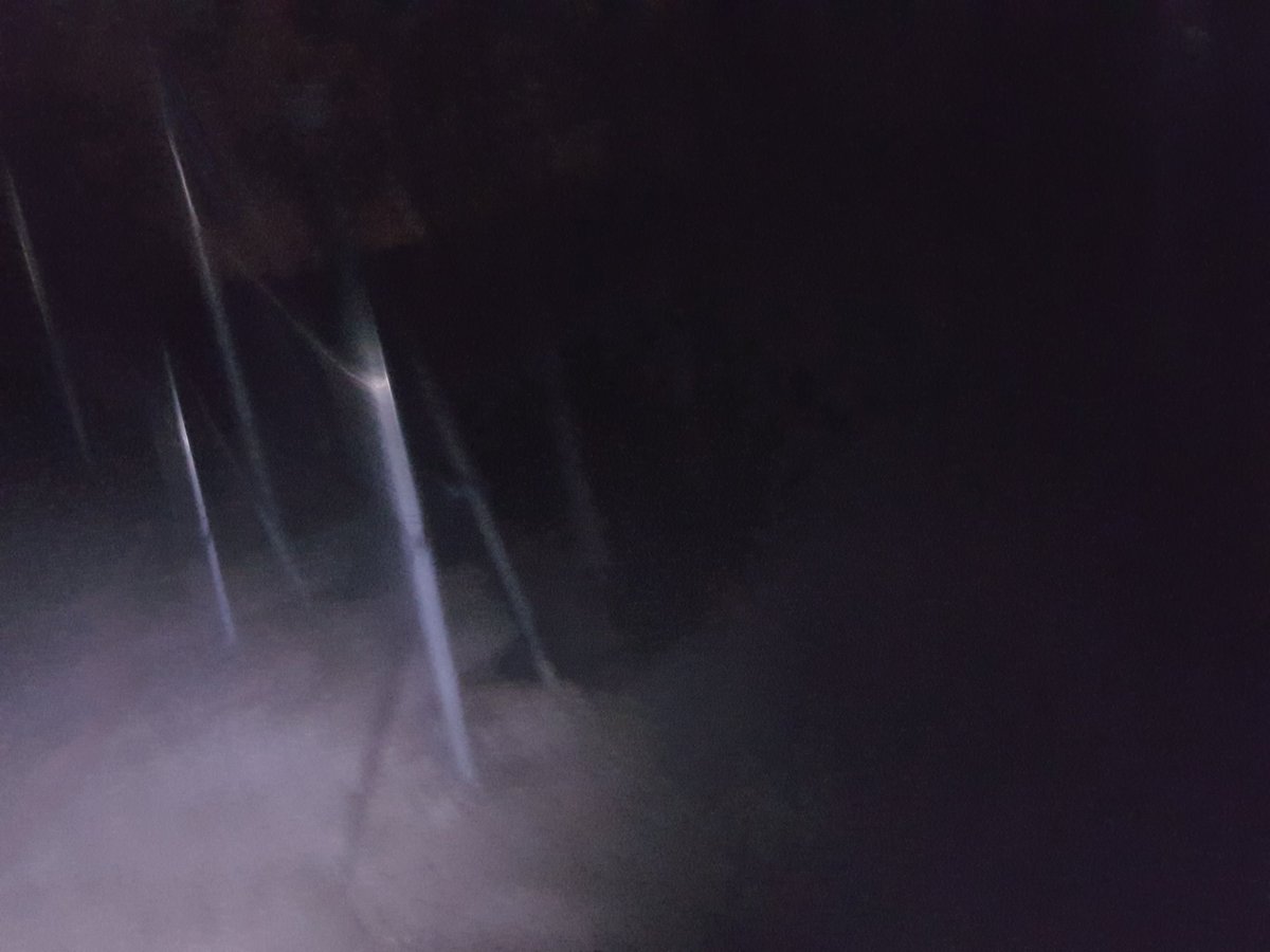 anton_guti's tweet photo. Correr por el bosque a 10° también ayuda a reflexionar. #TefLS @UniversitasTef https://t.co/EjdNN4p56m