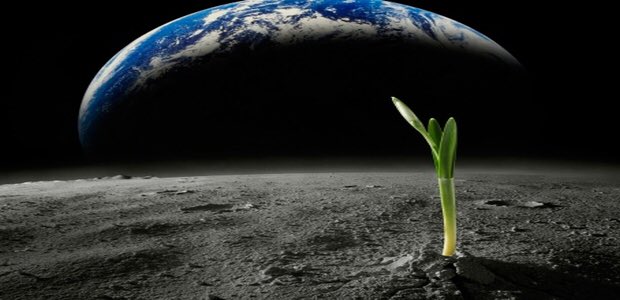 SilverscreenPri's tweet image. It's 'Life in Space' day tomorrow for every pupil at Trowell Primary School. Starring Einstein, @ProfBrianCox, Keanu Reeves and me, as Paranormal Investigator, Dr Pepper! 👽