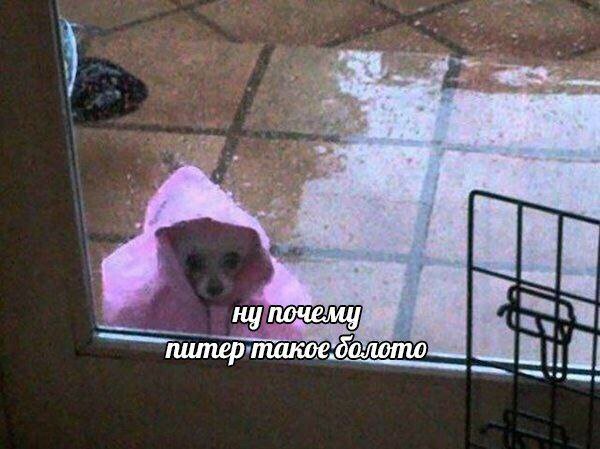 DONgq-tWkAI8H1X?format=jpg&name=small