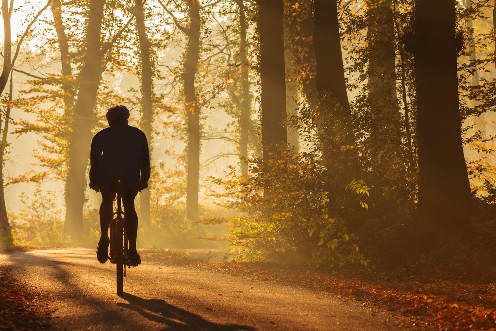FarlamHall's tweet photo. Looking to get out in the crisp Autumn air this weekend? Our nearby quiet country lanes are perfect for exploring on two wheels 🚴 #Cumbria https://t.co/tnvq9ayYeV