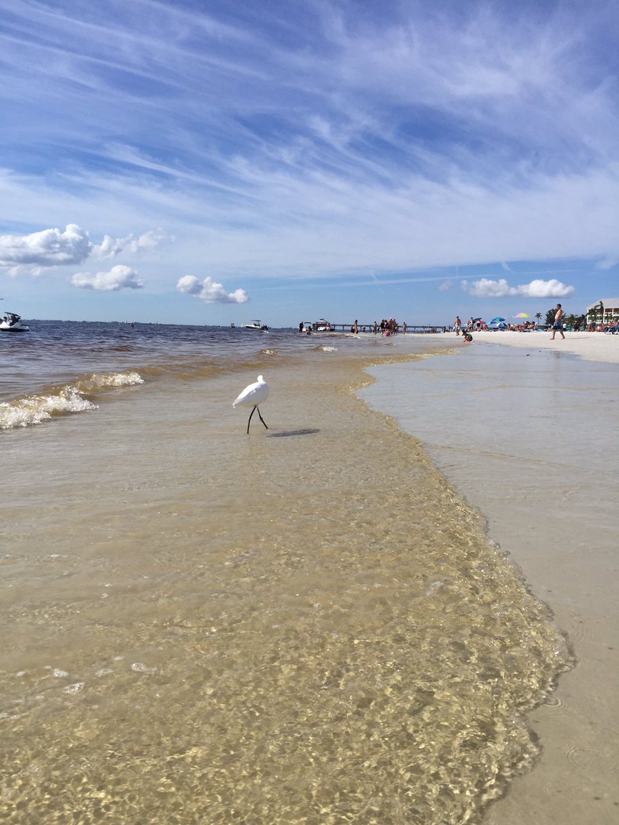 thearachel's tweet photo. On today's agenda for my quest for fulfillment is this view in @FtMyersSanibel #befullfilled #sachat #sawellness #sapro #beach #florida https://t.co/h3aMpJmQhn