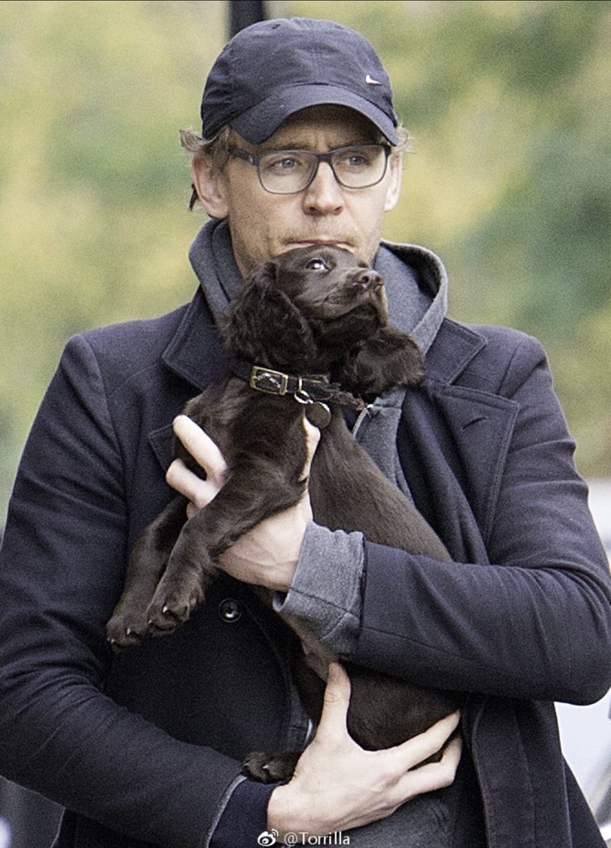 HiddlesGroup's tweet photo. #TomHiddleston #pet. Via Torrilla. https://t.co/4YPJeSP9uX