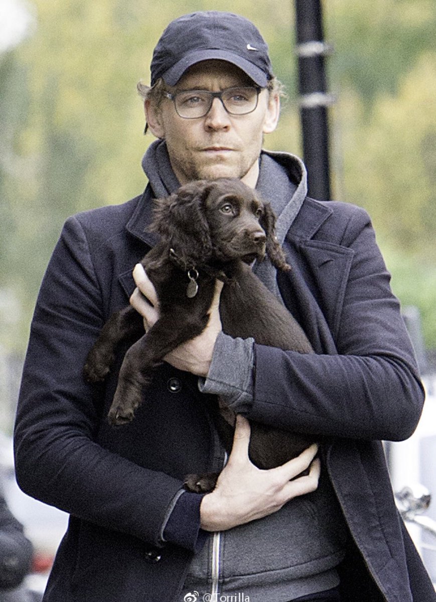 HiddlesGroup's tweet photo. #TomHiddleston #pet. Via Torrilla. https://t.co/4YPJeSP9uX