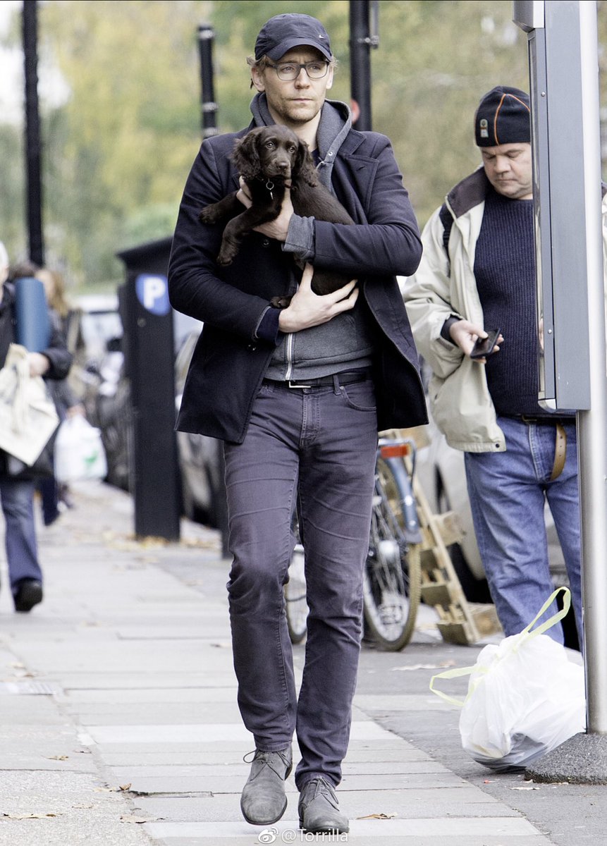HiddlesGroup's tweet photo. #TomHiddleston #pet. Via Torrilla. https://t.co/4YPJeSP9uX