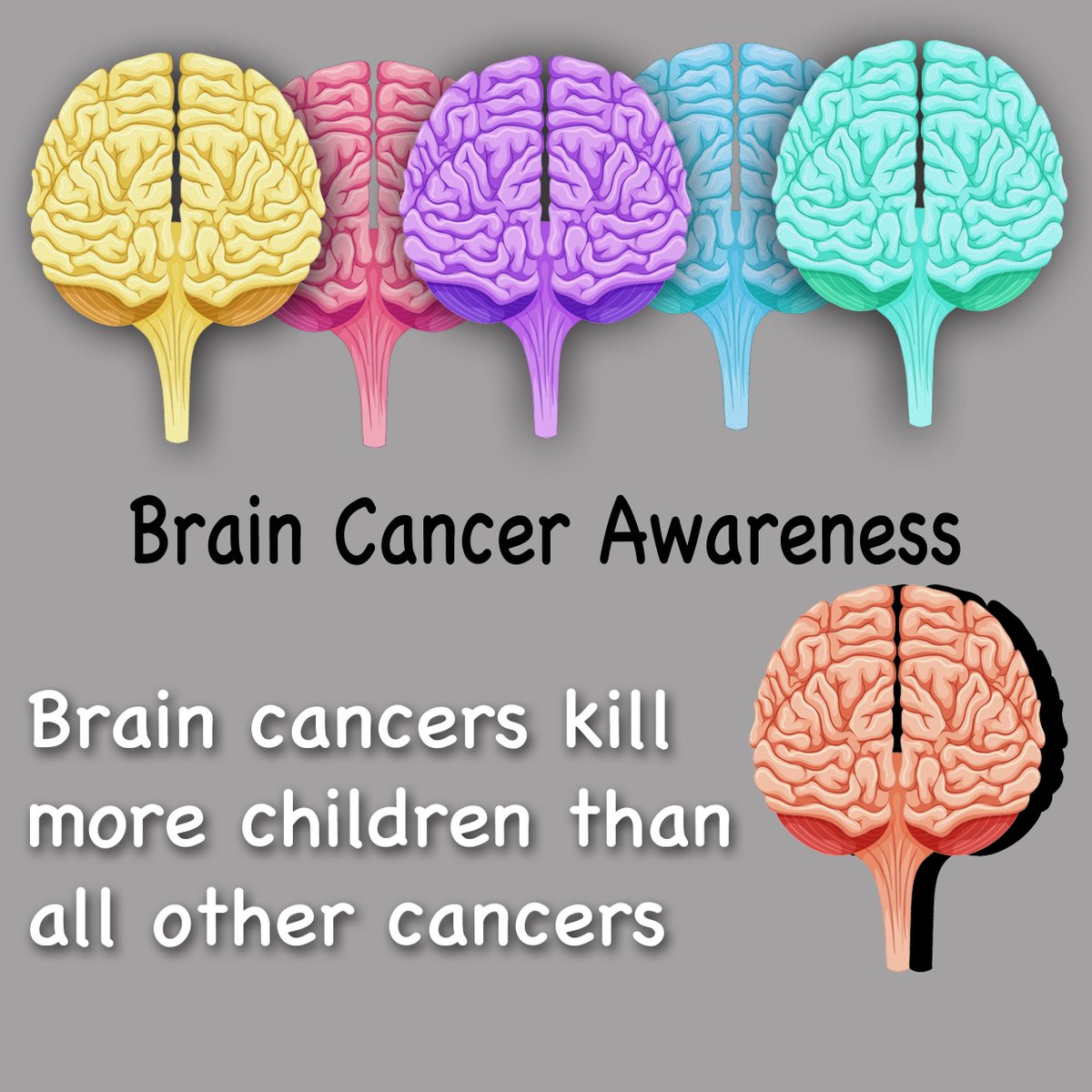 JoeBaber1's tweet photo. Can you believe it? We have never developed a single drug for pediatric brain cancer! Wonder why #ChildhoodCancer is the number one disease killer of kids!
@HappyQuailPress @carvotta_wendy @mydandysunshine @Phalinaphalange @smashingwalnuts @erinforever14 @KatiePierantozz https://t.co/2YgwYMtFl8