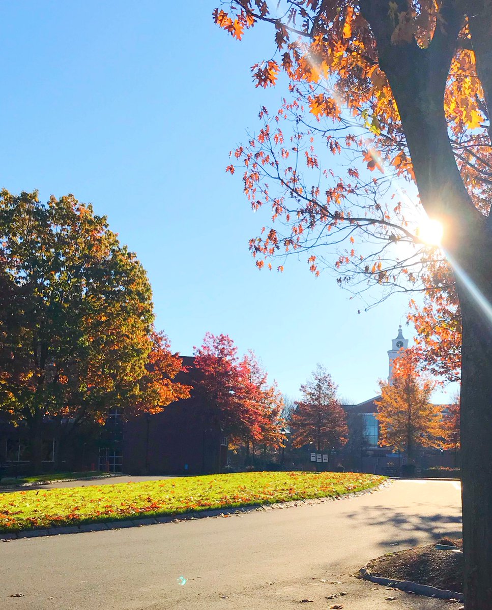 bentleyu's tweet photo. Beautiful fall day at Bentley! RT if you miss campus. https://t.co/dmYCKZ87rd