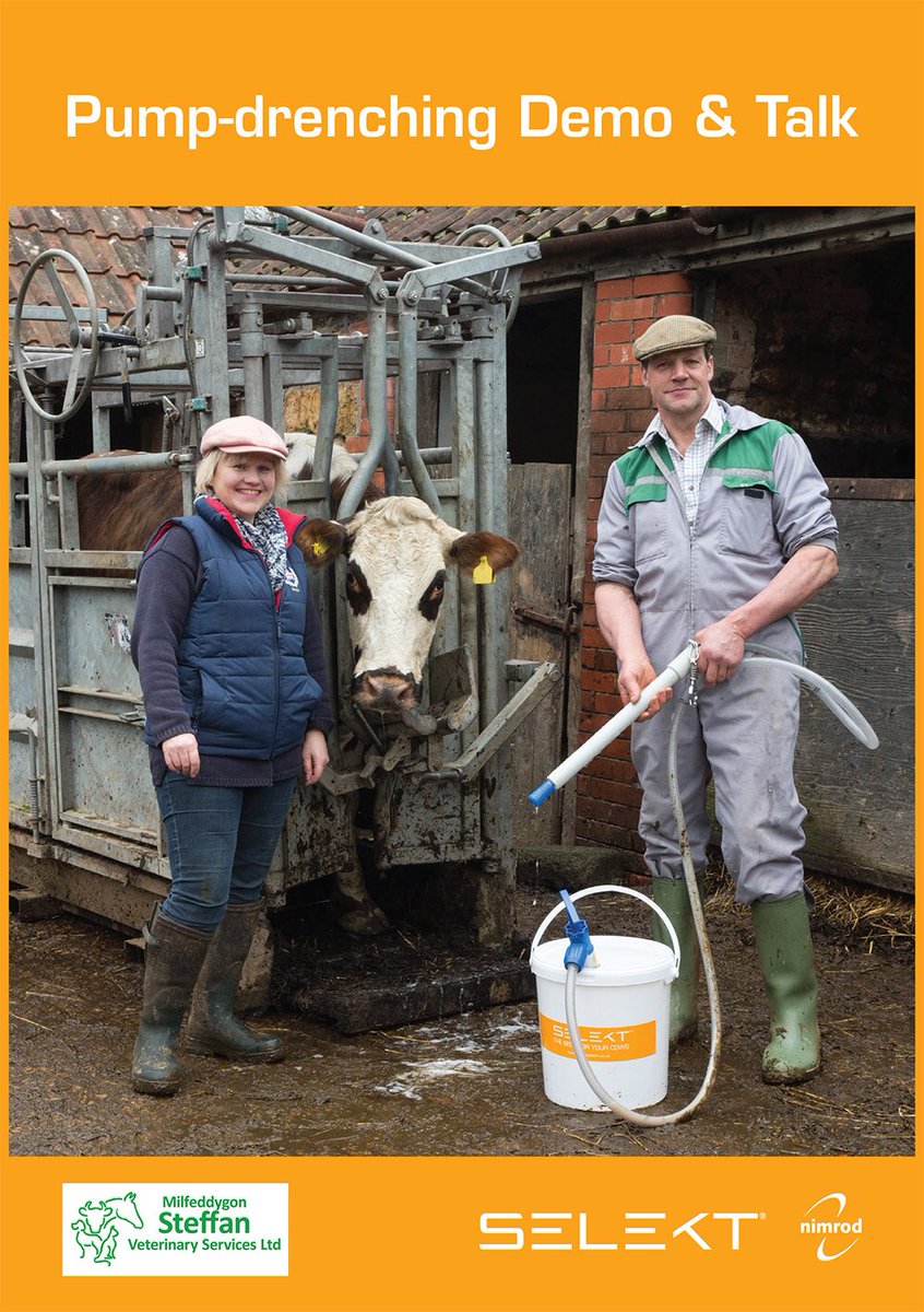 Steffan Vets tweet media