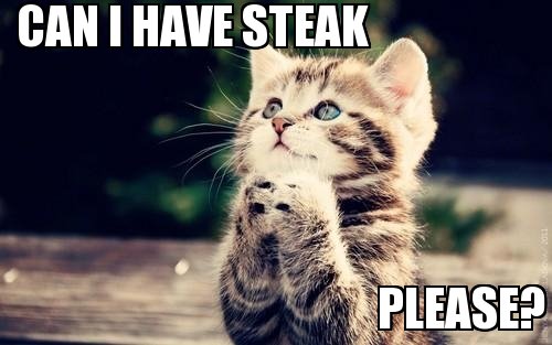 What do you think?  Should we give the #kittycat steak?
