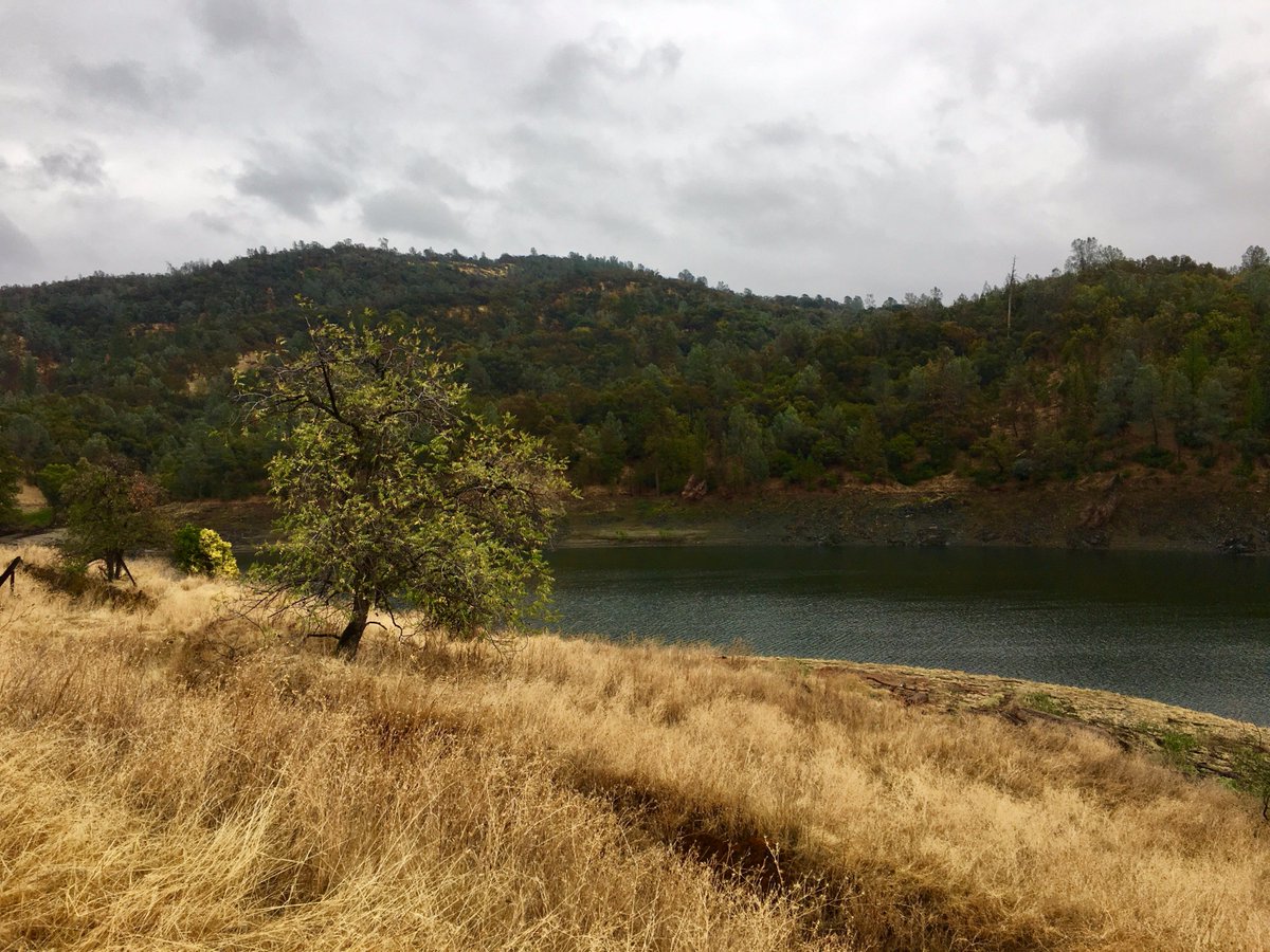 rundemtrails's tweet photo. Even in the midst of a race
I try to look around, take it all in
The world is steeped in beauty
& we may not pass this way again
#trailrunning #adventures #RioDelLago https://t.co/RGsWoLezE3