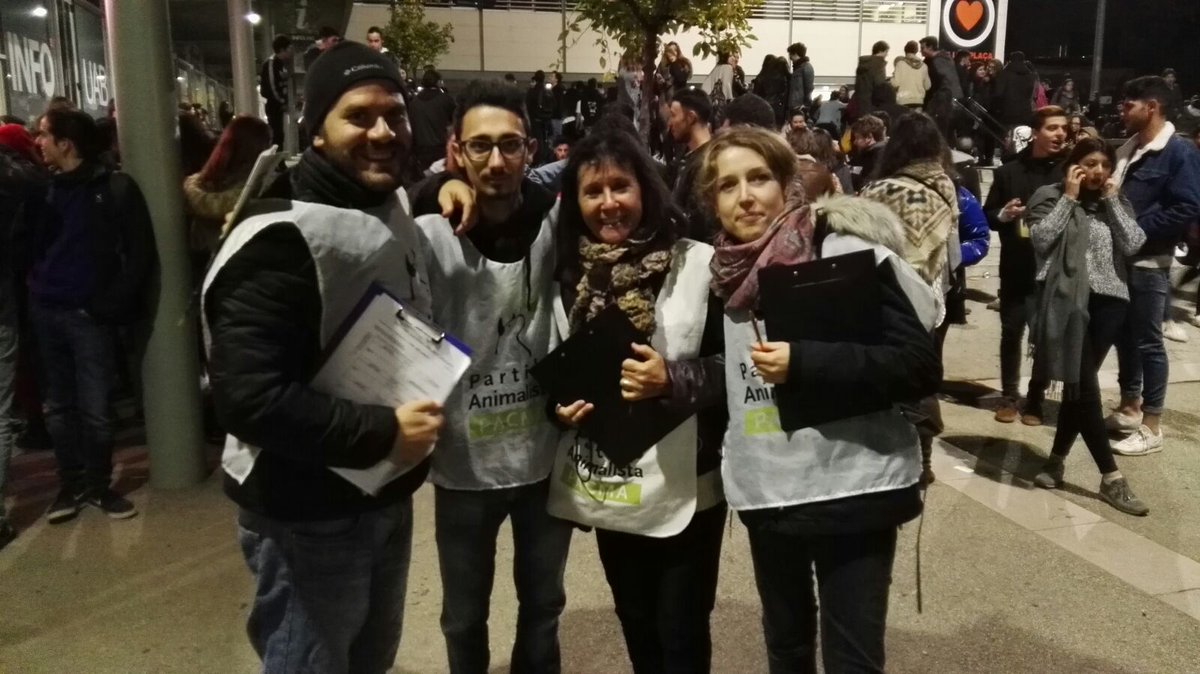 pacmacatalunya's tweet photo. Un altre dia que ha acabat amb èxit gràcies a vosaltres👏👏👏 Un equip de voluntaris de luxe. Ho aconseguirem! Estigueu atents, properament publicarem nous punts de recollida d'avals, volem presentar-nos a les eleccions del #21D #OrgullPACMA 💚 https://t.co/huJZ8UFRai