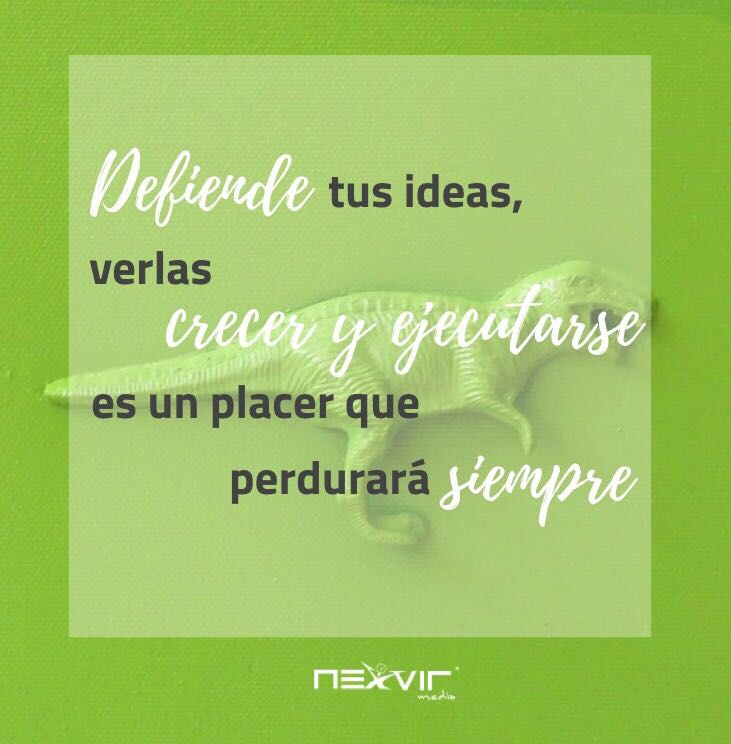Nexvir Media tweet media