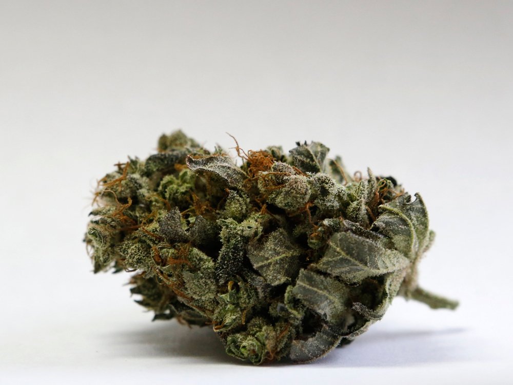 Potreportcom's tweet photo. Drugs, but no sex, violence or party dogs: Cannabis companies lay out proposed ad guidelines - https://t.co/q942qNZA5z https://t.co/GlOa6pGgVq