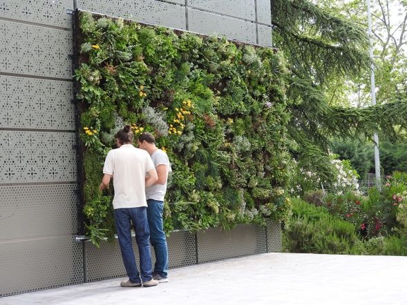 ligne_verte's tweet photo. .@greenroofs Project of the Week: this beautiful public #greenwall on the @La_UPM campus. More pics: https://t.co/hICTJtjhuF #madrid #sustainability #livingwall #inspiration #greenenvy #verticalgarden https://t.co/YY9gBqEnb4