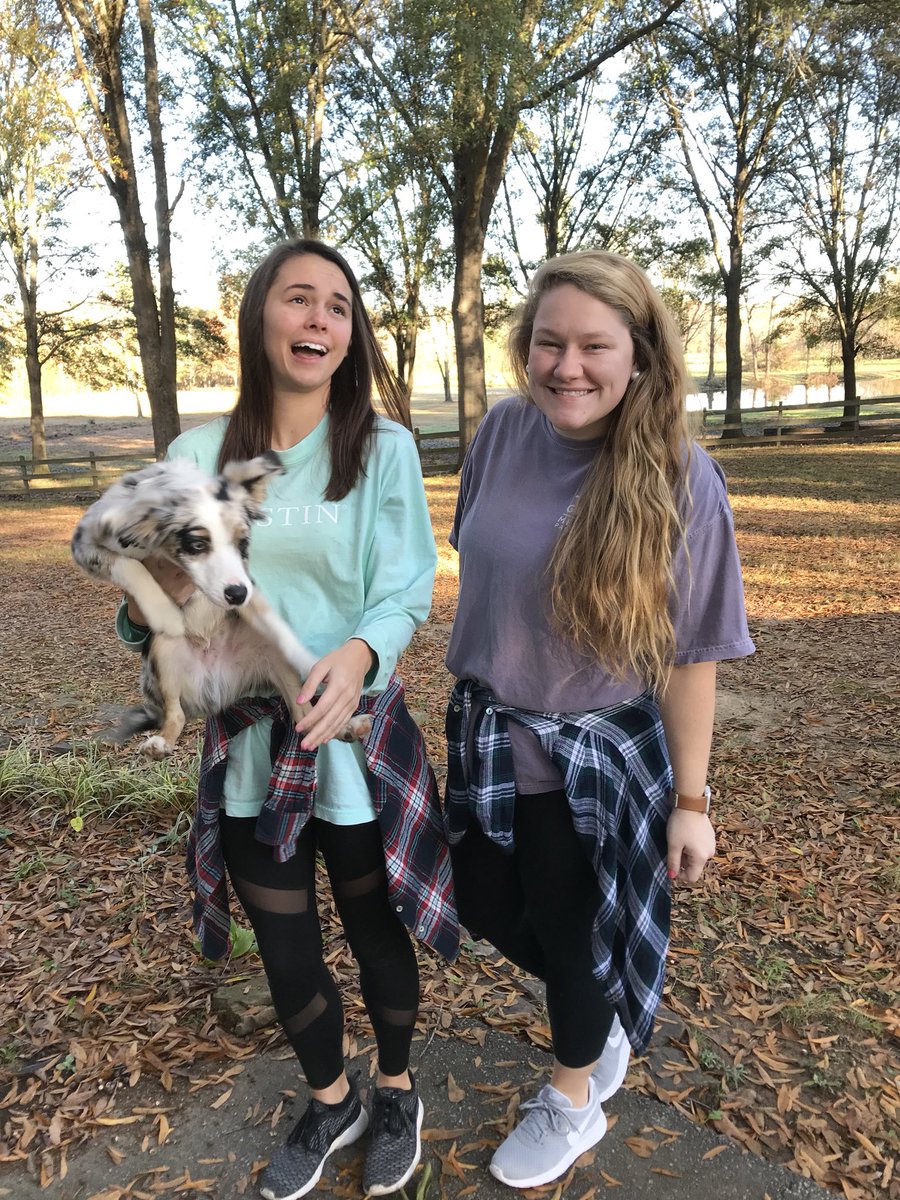 ErinnKnightt's tweet photo. When your child won’t cooperate for pics https://t.co/tzt80Qa2a6