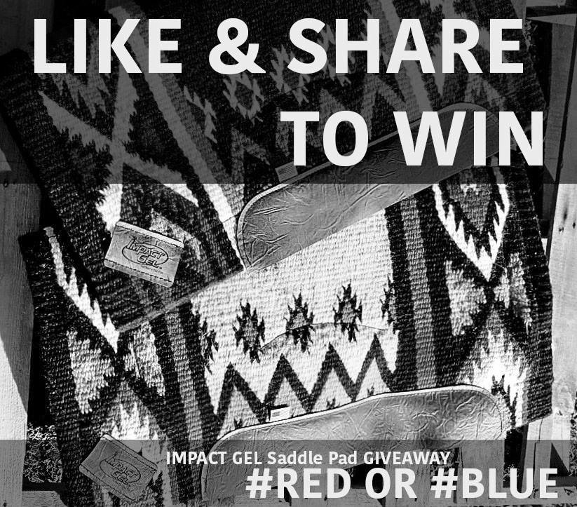 impact_gel's tweet photo. #Tomorrow IS #GIVEAWAY DAY! We will announce the winner #FRIDAY November 10th at 12:00 pm CST. 

Will you be the #WINNER of a #NEW Impact Gel Saddle Pad? 

#MayTheOddsbeEverInYourFavor #GetExcited #REDorBLUE https://t.co/2miN2to6fC