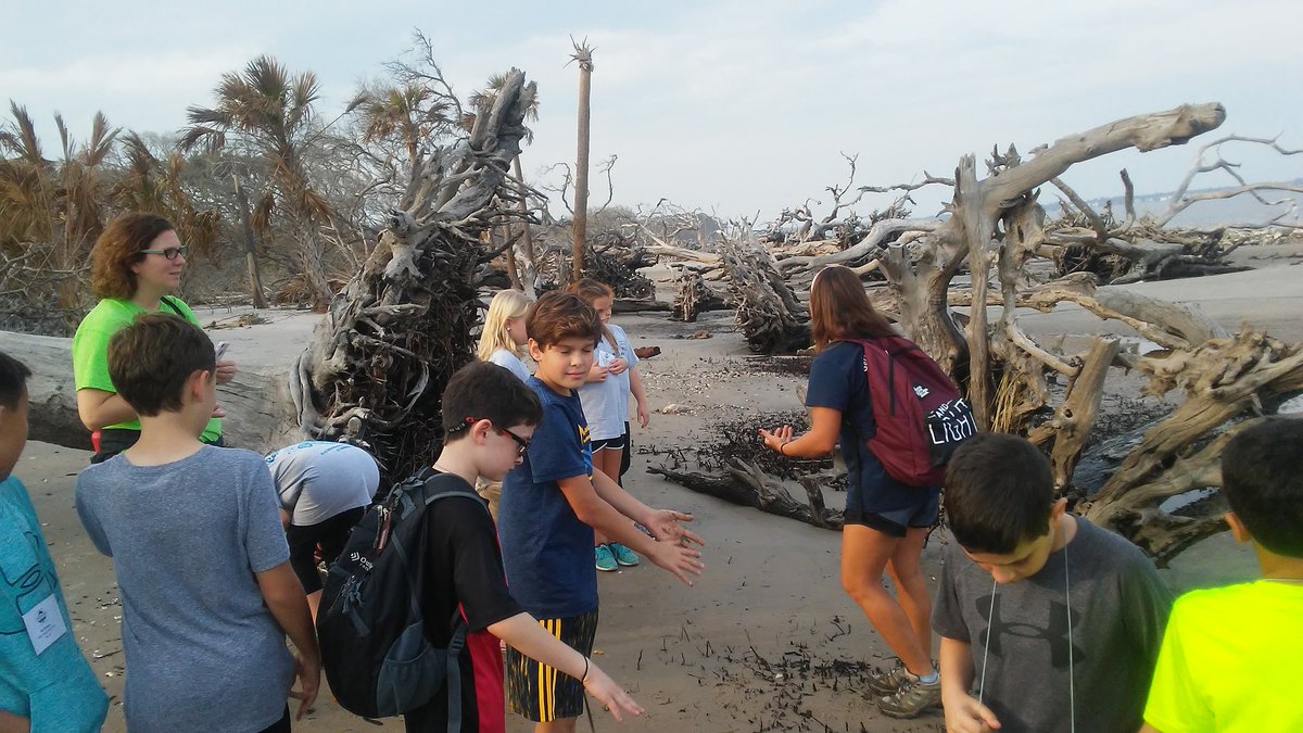 Driftwood Beach <a href="/DolvinES/">Dolvin ES</a>