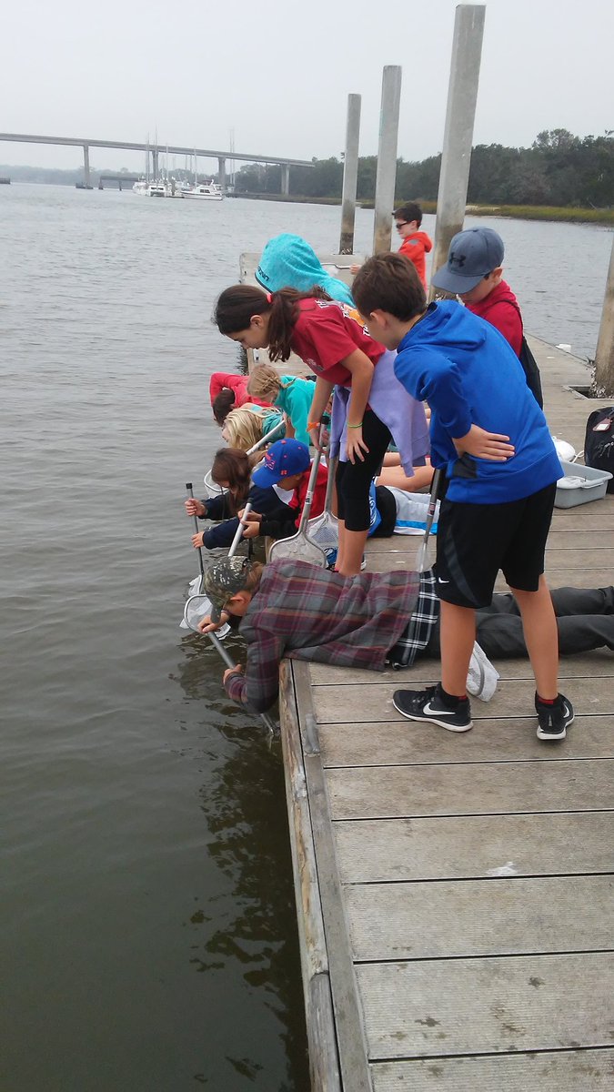 Tree Frogs at Dock Study class.<a href="/dolvinbullard/">Dave Bullard</a> <a href="/DolvinES/">Dolvin ES</a>