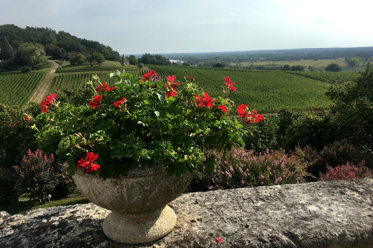 Allison Rollin (@allison_rollin) on Twitter photo Chinese Lovers Of French Wine Are Snapping Up Bordeaux Vineyards #wine #vino <a href="/ElBeardsley/">Eleanor Beardsley</a> buff.ly/2Avvshf Chinese Lovers Of French Wine Are Snapping Up Bordeaux Vineyards #wine #vino <a href="/ElBeardsley/">Eleanor Beardsley</a> buff.ly/2Avvshf