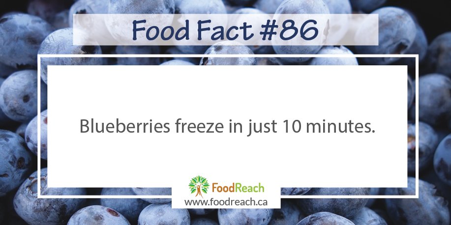 Fun #FoodFact: #Blueberries freeze in just 10 minutes.