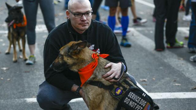 thehill's tweet image. Program that pairs service dogs with wounded veterans kicked out of offices with "no explanation"  hill.cm/2DN6MM9