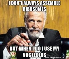 nucleolyasss's tweet photo. #APBEG17 https://t.co/4qzghiVdGQ