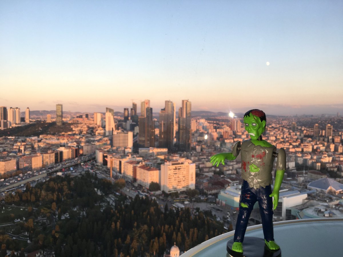 AlbertaCoLab's tweet image. Just returned from my second Transatlantic trip, this time to Istanbul with my human @KerenPerla1 for #IID2017 👍 Met some great #psilabs humans. More photos to come! #CoLabAB #HaveBrainsWillTravel