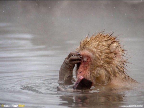 TweetLlkeAGuy's tweet photo. When you closing out apps and accidentally swipe out of the music app https://t.co/iR7ds0gGDz