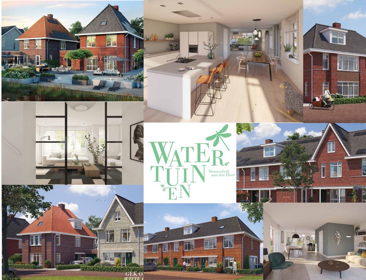 Daphne de Bloois tweet media