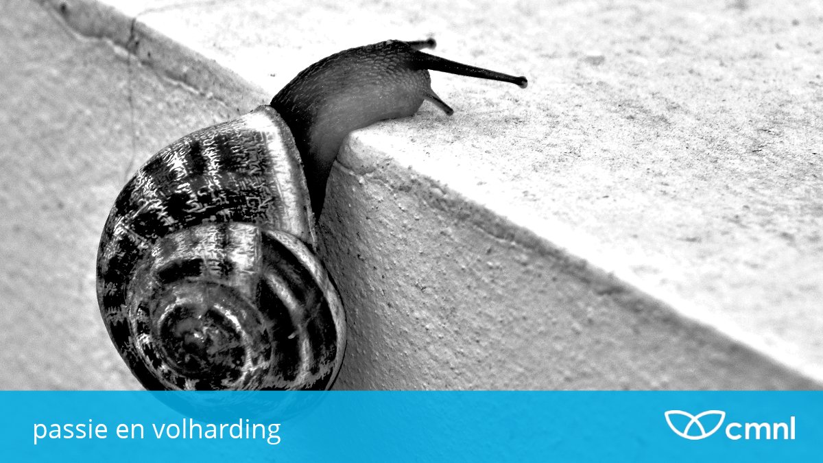 Heb je #passie voor wat je doet? Zorg dan dat je volhardt. community.cmnl.nl/berichten/pass… <a href="/guidoable/">Guido Verboom</a> schreef over het opvallende verhaal van het succes van de bekende auteur <a href="/JohnGrisham/">John Grisham</a>. En wat het jou over je #community kan leren. #cmnl #cmgr