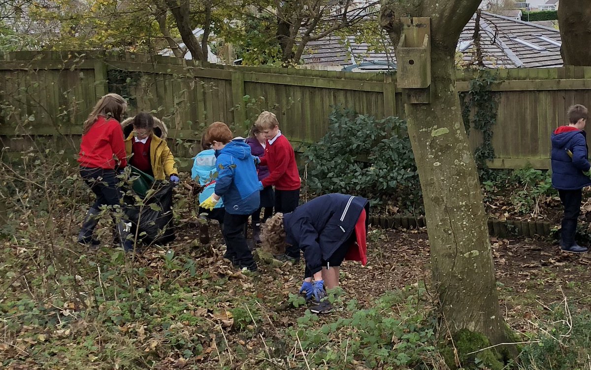 Working together in the Conservation Area #enrichmentafternoon @EcoSchoolsWales
