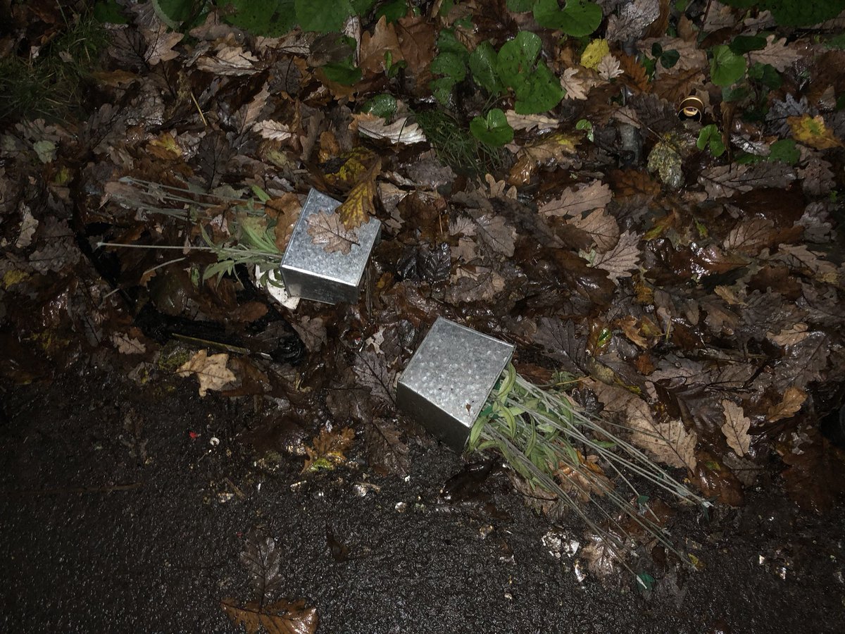 Keep Neath Tidy tweet media