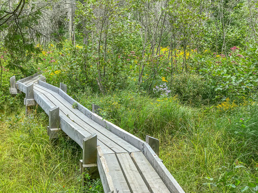 DennisOnthegO's tweet photo. Day 180 on the Appalachian Trail https://t.co/vCCjHOcpZ8 https://t.co/3oEmwKOKUd