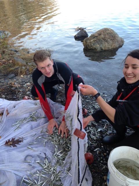 bowdoinscsc's tweet photo. Patrick Warner '20 and Claire Goffinet '19 have been hard at work for their IR projects!#BMSS2017 #BowdoinCollege photo credit: Paul Joyce https://t.co/iY5fQzWRDi