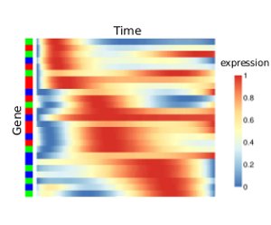 JeffersonUniv's tweet photo. Dr. Vadigepalli speaks about his work on a new mathematical tool that helps researchers make sense of genetic data across the life of a disease: https://t.co/2Ccec3kRaz. #JeffResearch https://t.co/8BYM5kk5sf