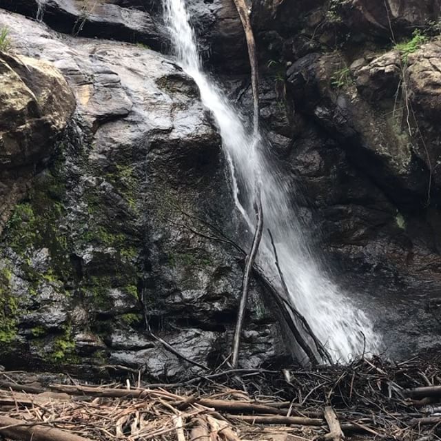 BranchOutAdv's tweet photo. May this brighten your day. 👍🏻🌿 #waterfall #gobranchout https://t.co/gUS69GqZ2C