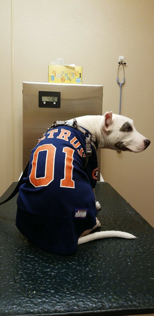 gulfgateah's tweet photo. #tbt That time the Houston Astros won the World Series #EarnedHistory #ThursdayThoughts #2017 https://t.co/QvGU3i9EQF