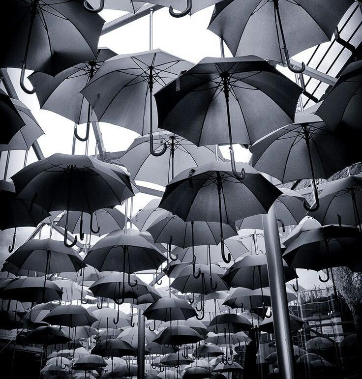 garnadoma's tweet image. “тнєяє αяє тнιηgѕ ιη тнιѕ ωσяℓ∂ ƒαя ωσяѕє тнαη ѕ¢υм. .”

『银色幽灵』
♔ DSP OC
♚ Loyal Familiar to Eleanor
♦(n)sfw/sfw
♢Ships w/ chem

♥RTs Appreciated♥