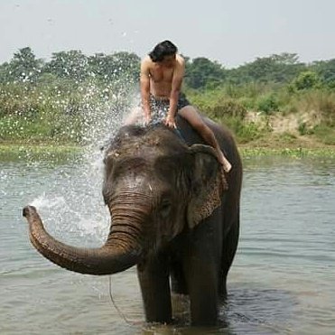 StUp4Elephants's tweet photo. Alleged fun for the one, abuse for the other …

#Elephants #Nepal #SaveElephants #LoveElephants #Animal #BreakingTheChains https://t.co/WkGYaKHaoK