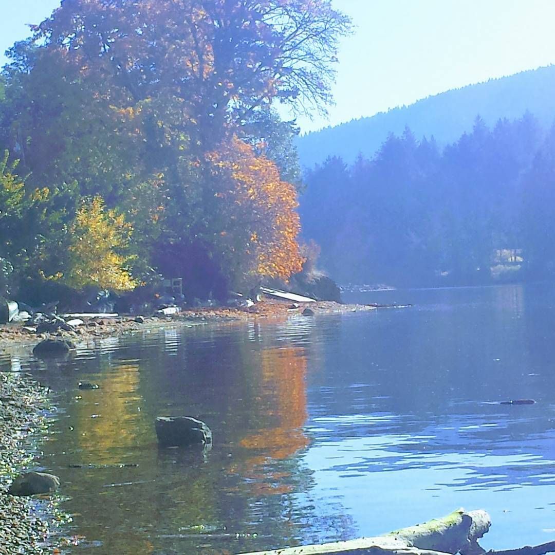 EricaHargreave's tweet image. #Autumn beauty bathed in sunshine on #SaltSpring, via @KsRaingurl68: instagram.com/p/BaxOaZaF49U/ #NaturallySaltSpring #ExploreBC