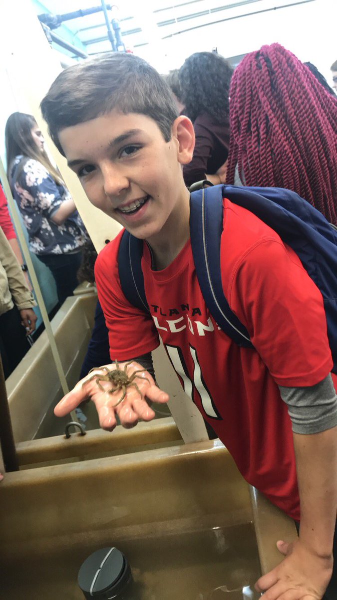 MissSewellLCMS's tweet photo. So much fun at the UGA Marine Center! #GST2017 #LCMScougarstrong 🐠🐟🦑 https://t.co/YGvgJm4soI