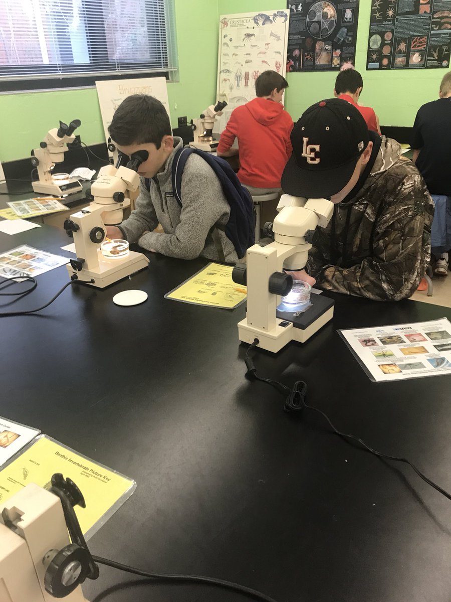 MissSewellLCMS's tweet photo. So much fun at the UGA Marine Center! #GST2017 #LCMScougarstrong 🐠🐟🦑 https://t.co/YGvgJm4soI