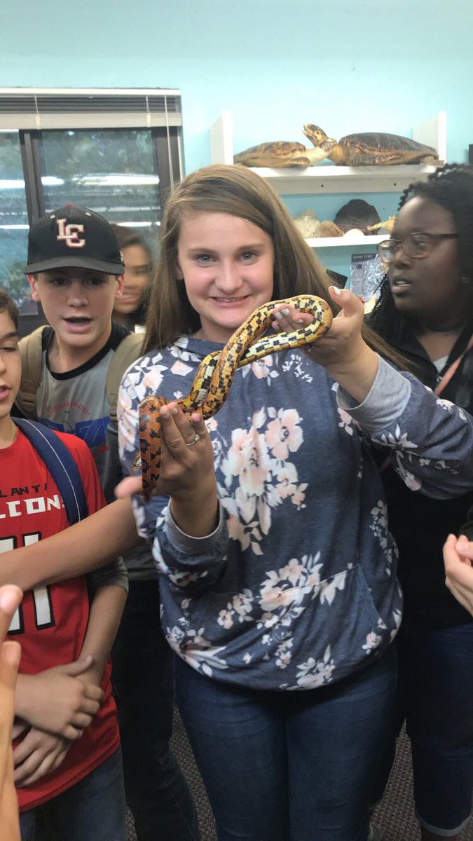 MissSewellLCMS's tweet photo. So much fun at the UGA Marine Center! #GST2017 #LCMScougarstrong 🐠🐟🦑 https://t.co/YGvgJm4soI