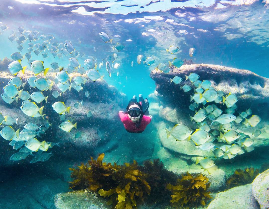 Australia's tweet image. Happy Friday 😊 Here are This Week's Favourite Fan Photos: bit.ly/FanPhotos101117