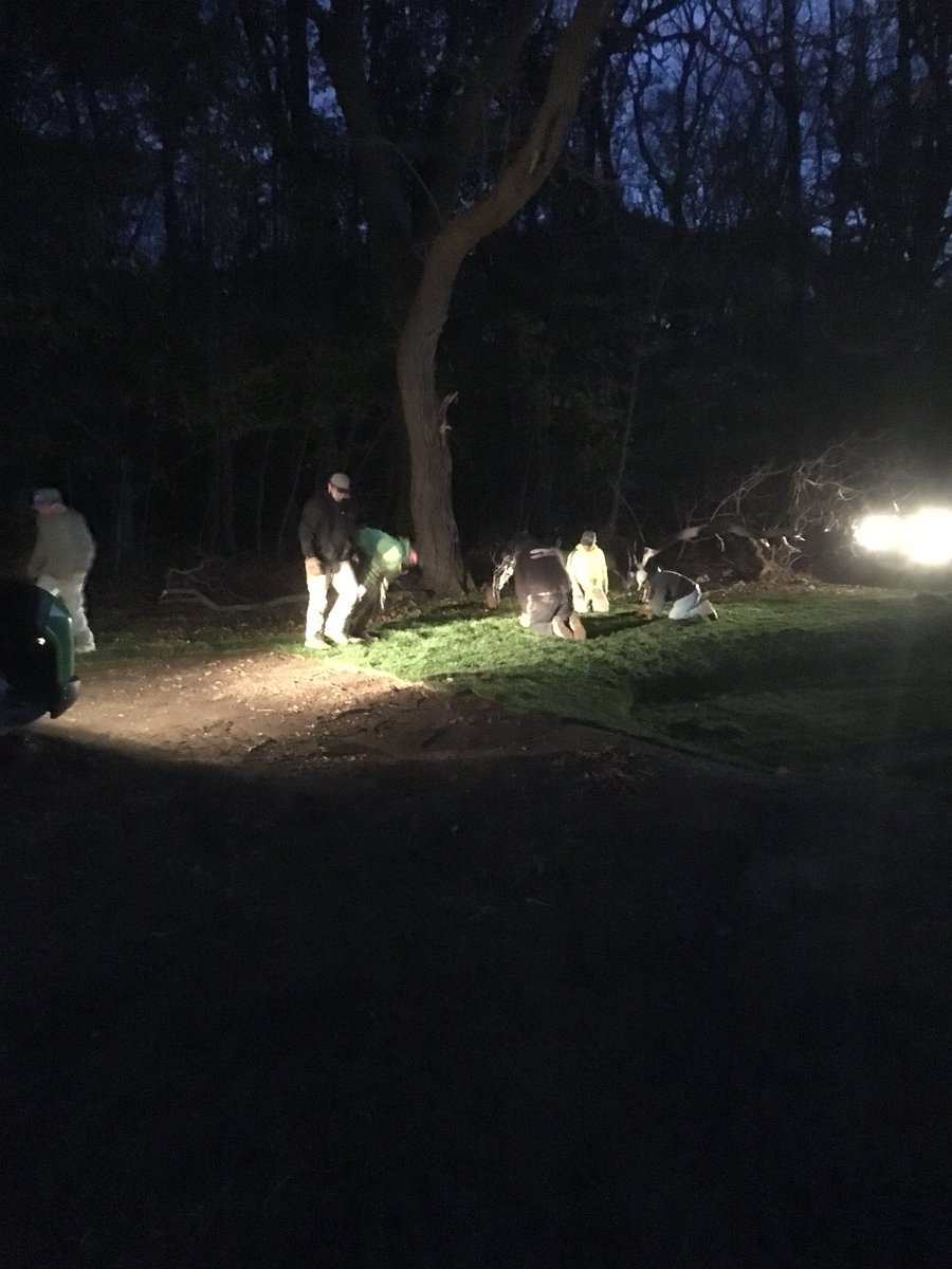 MAS sod crew laying the last pallet of the day at Tedesco CC. <a href="/masgolfconst/">Matthew Staffieri</a>