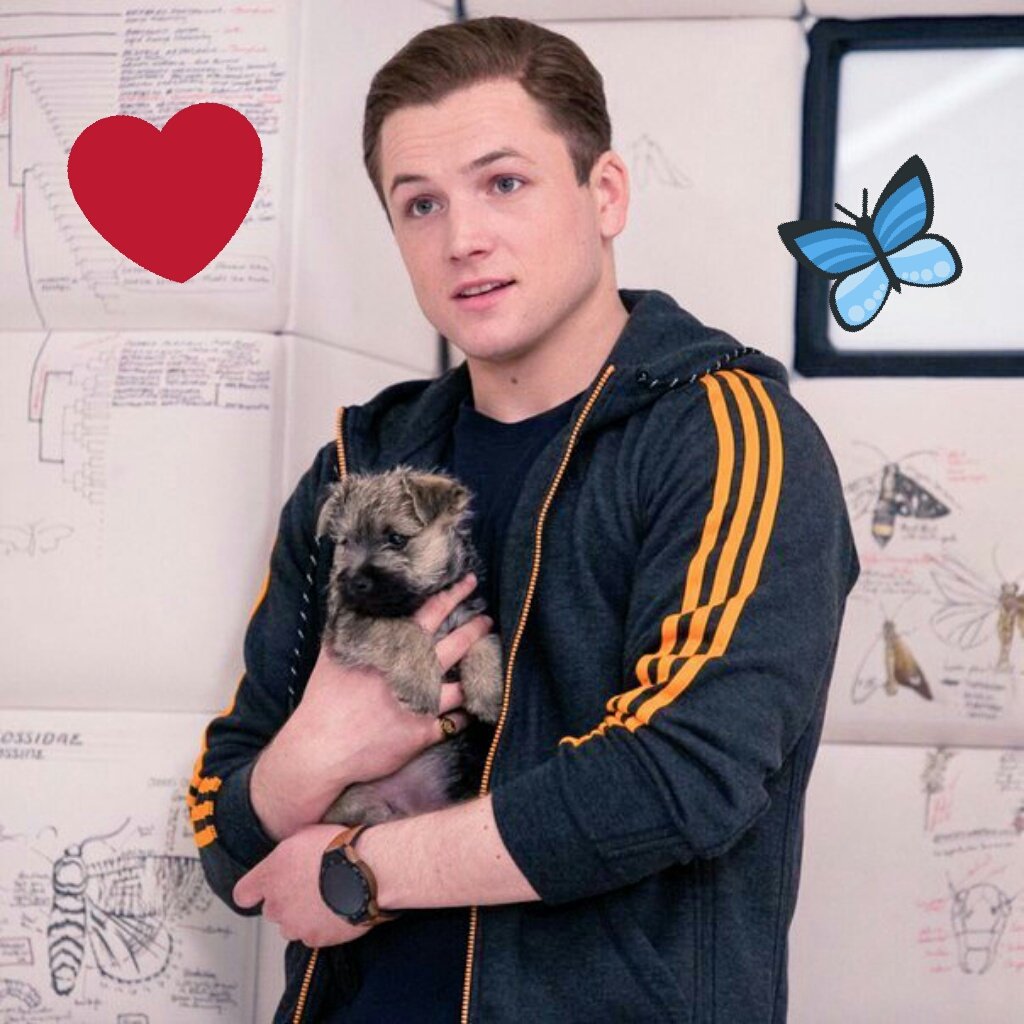 Happy Birthday, Taron Egerton!     You very cute! :3 