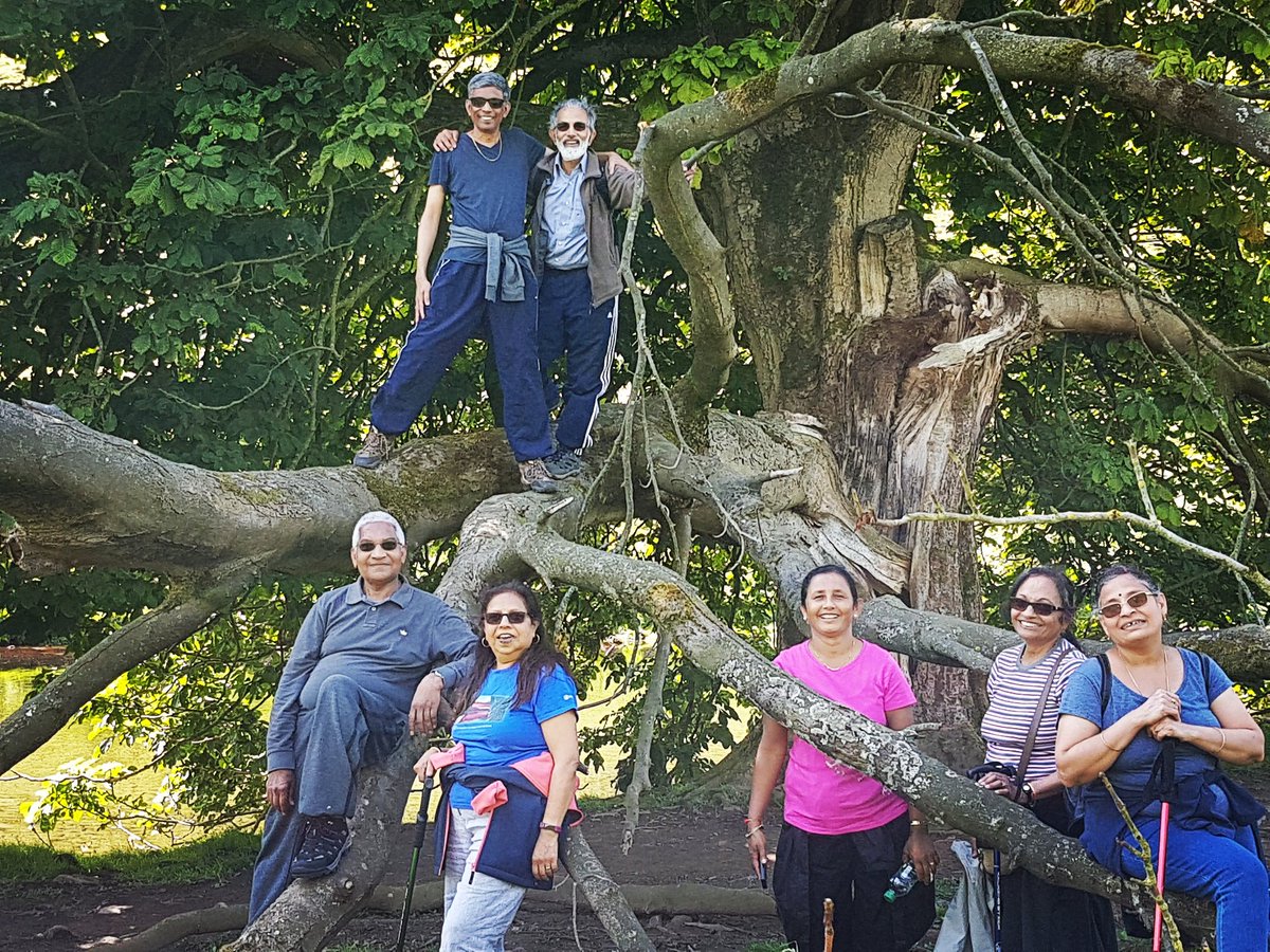 #walkinthewoods